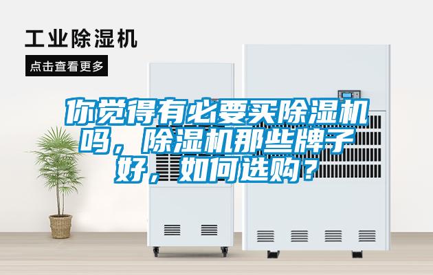 你觉得有必要买除湿机吗，除湿机那些牌子好，如何选购？