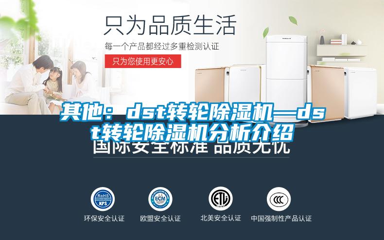 其他：dst转轮除湿机—dst转轮除湿机分析介绍