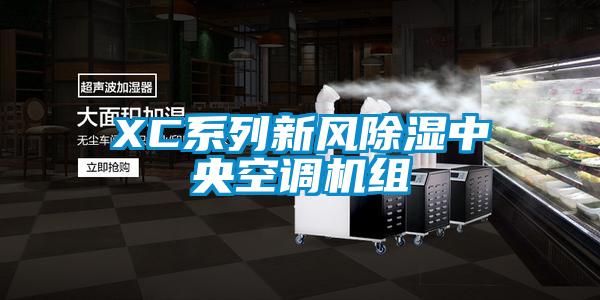 XC系列新风除湿中央空调机组