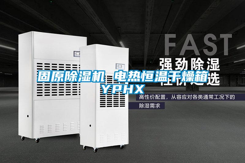 固原除湿机 电热恒温干燥箱YPHX