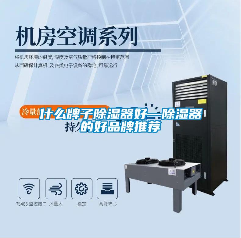 什么牌子除湿器好—除湿器的好品牌推荐