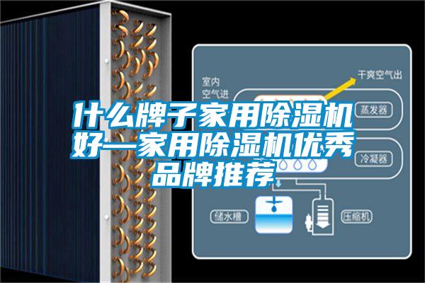 什么牌子家用除湿机好—家用除湿机优秀品牌推荐