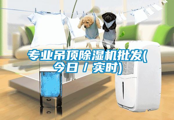 专业吊顶除湿机批发(今日／实时)