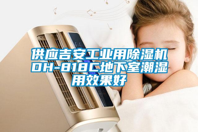供应吉安工业用除湿机DH-818C地下室潮湿用效果好