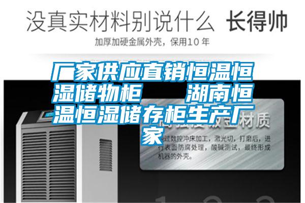 厂家供应直销恒温恒湿储物柜   湖南恒温恒湿储存柜生产厂家