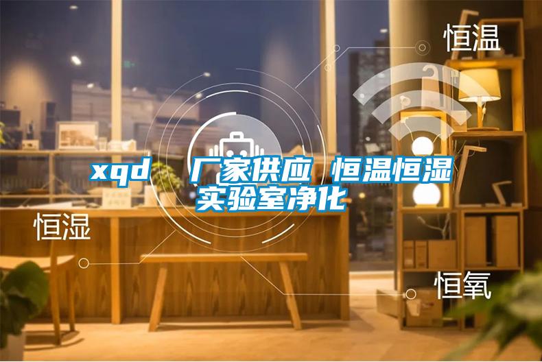 xqd 厂家供应 恒温恒湿实验室净化