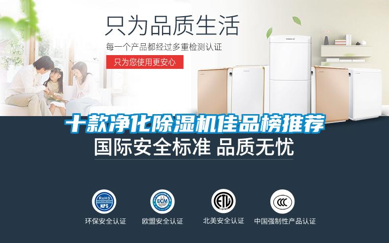 十款净化除湿机佳品榜推荐