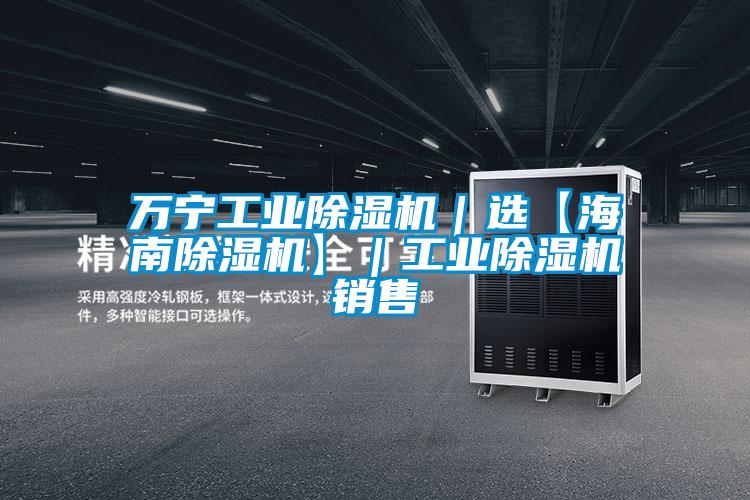 万宁工业除湿机｜选【海南除湿机】｜工业除湿机销售