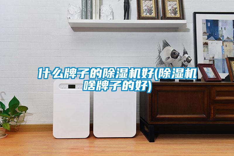 什么牌子的除湿机好(除湿机啥牌子的好)