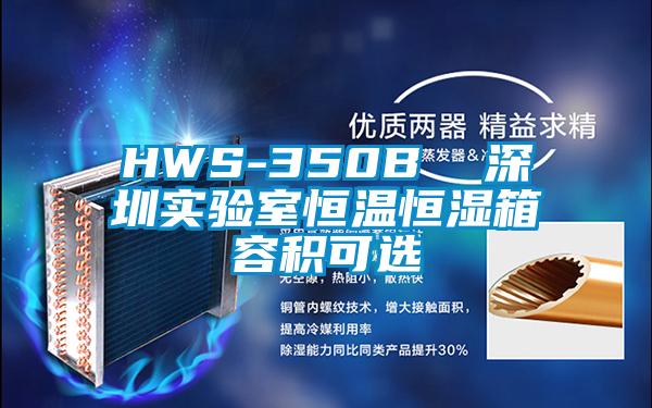 HWS-350B  深圳实验室恒温恒湿箱容积可选