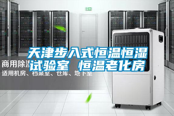 天津步入式恒温恒湿试验室 恒温老化房