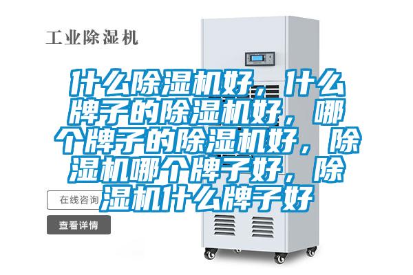 什么除湿机好，什么牌子的除湿机好，哪个牌子的除湿机好，除湿机哪个牌子好，除湿机什么牌子好