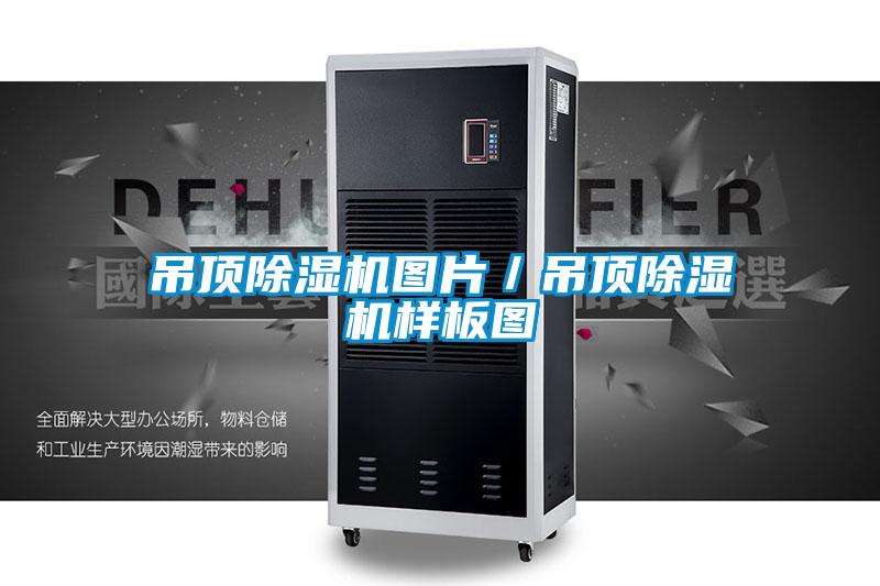 吊顶除湿机图片／吊顶除湿机样板图