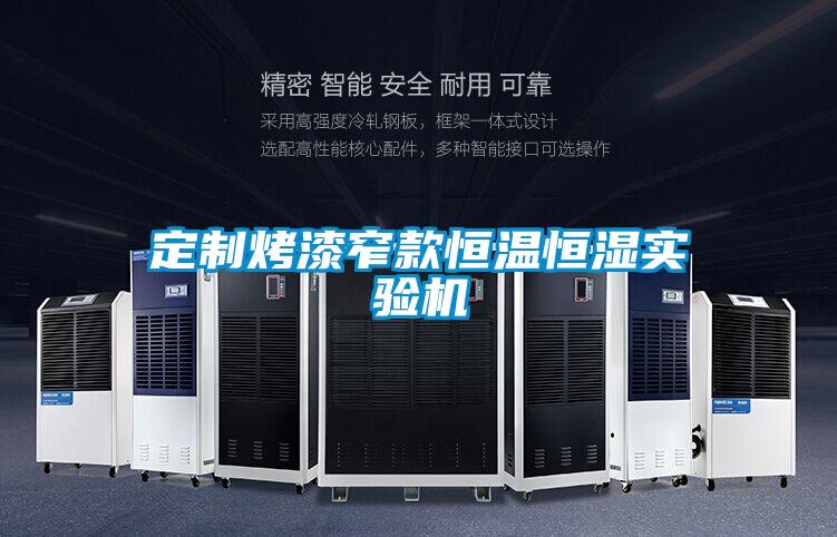 定制烤漆窄款恒温恒湿实验机