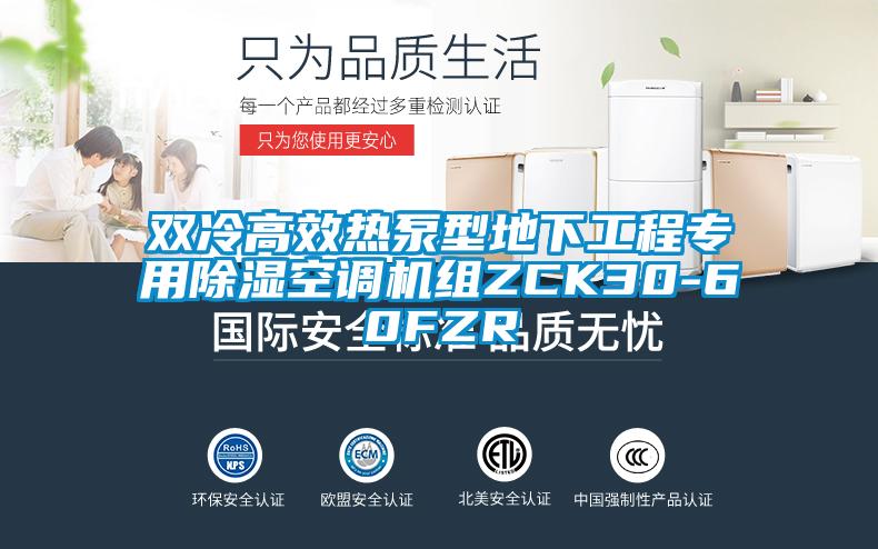 双冷高效热泵型地下工程专用除湿空调机组ZCK30-60FZR