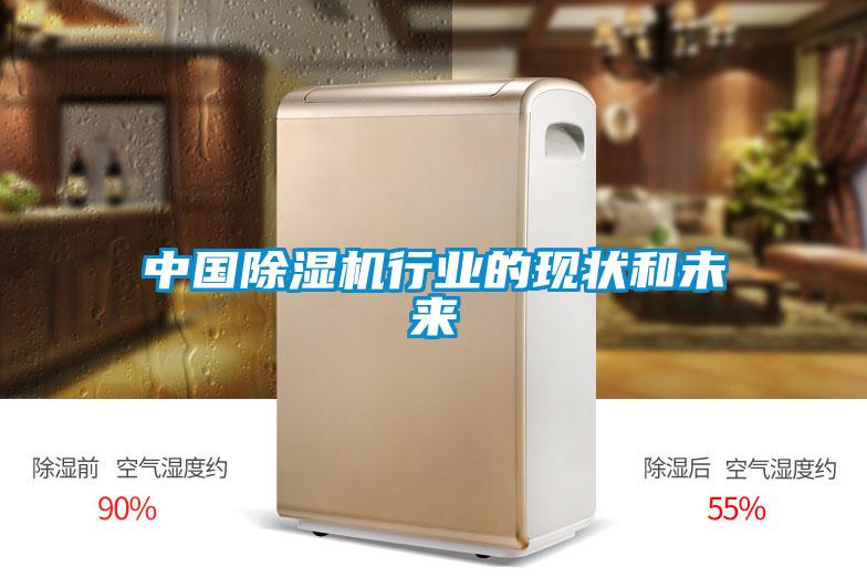 中国除湿机行业的现状和未来