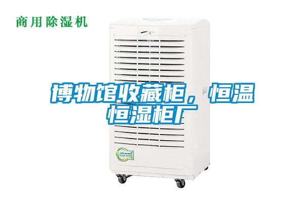 博物馆收藏柜，恒温恒湿柜厂