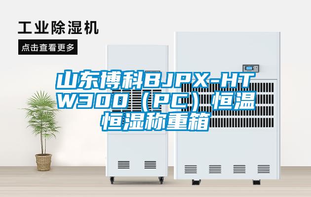 山东博科BJPX-HTW300(PC)恒温恒湿称重箱