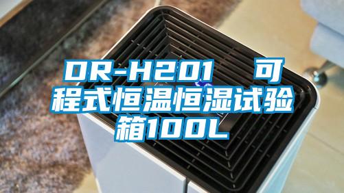 DR-H201  可程式恒温恒湿试验箱100L