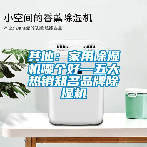 其他：家用除湿机哪个好—五大热销知名品牌除湿机