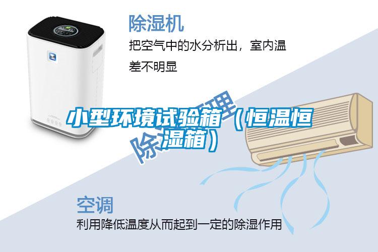 小型环境试验箱（恒温恒湿箱）