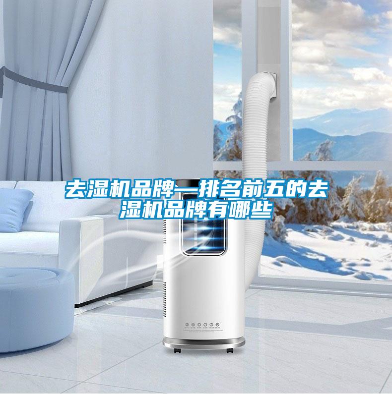 去湿机品牌—排名前五的去湿机品牌有哪些