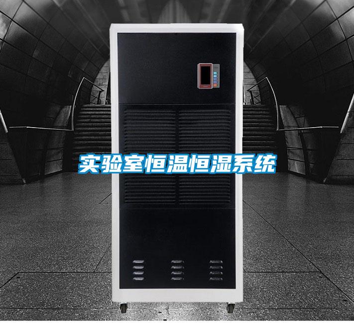 实验室恒温恒湿系统