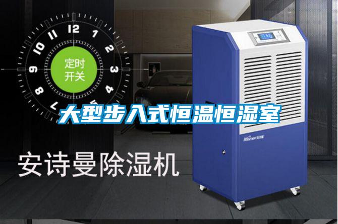大型步入式恒温恒湿室