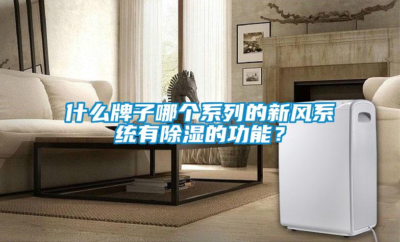 什么牌子哪个系列的新风系统有除湿的功能？