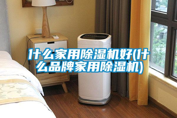什么家用除湿机好(什么品牌家用除湿机)
