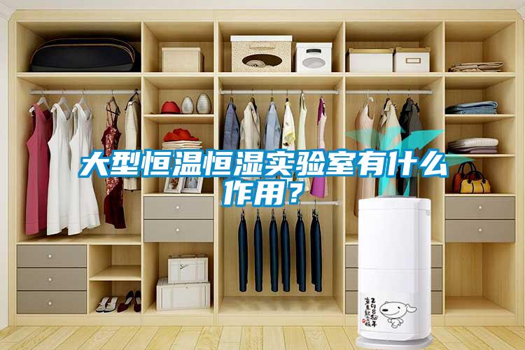 大型恒温恒湿实验室有什么作用？