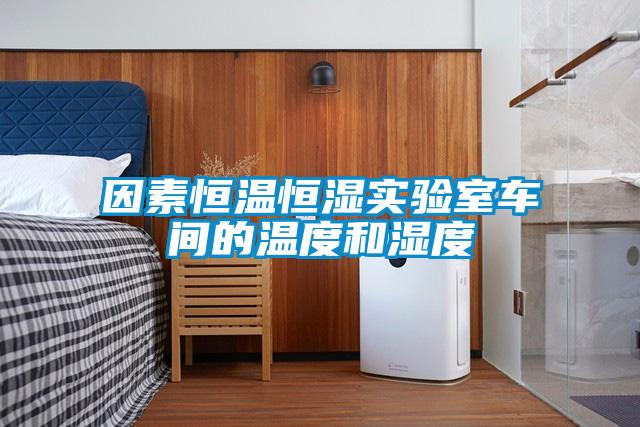 因素恒温恒湿实验室车间的温度和湿度