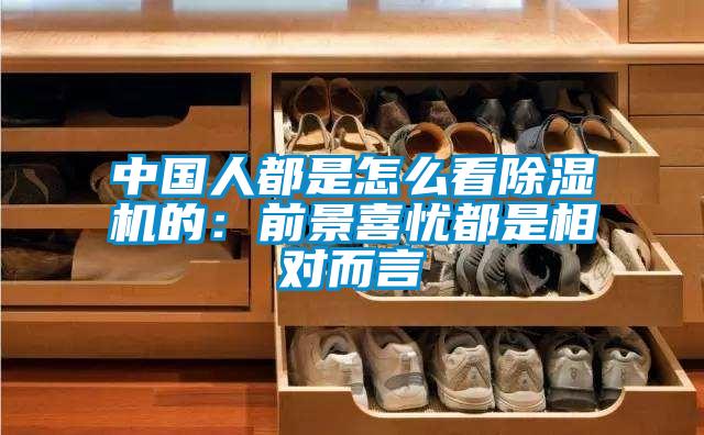 中国人都是怎么看除湿机的：前景喜忧都是相对而言