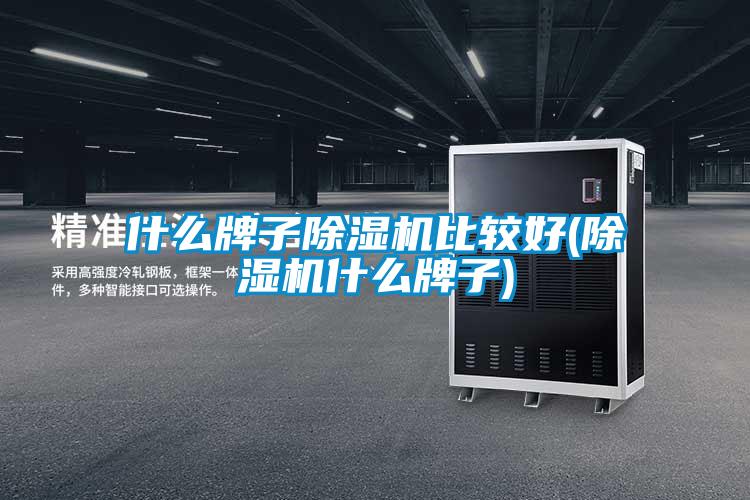 什么牌子除湿机比较好(除湿机什么牌子)