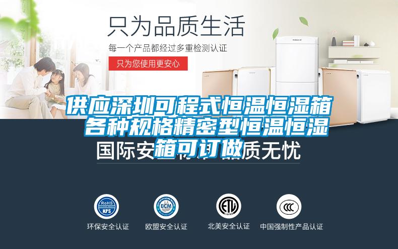 供应深圳可程式恒温恒湿箱 各种规格精密型恒温恒湿箱可订做