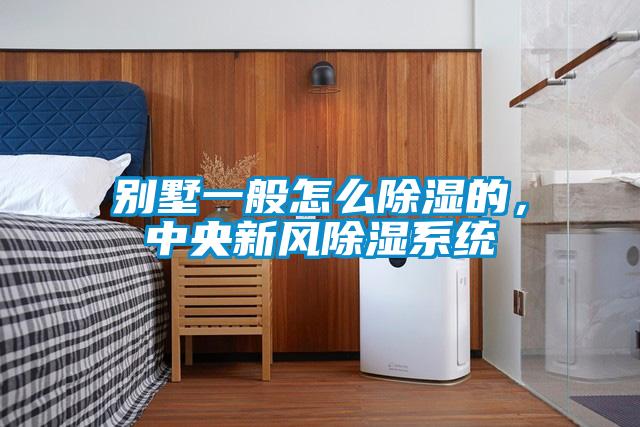 别墅一般怎么除湿的，中央新风除湿系统