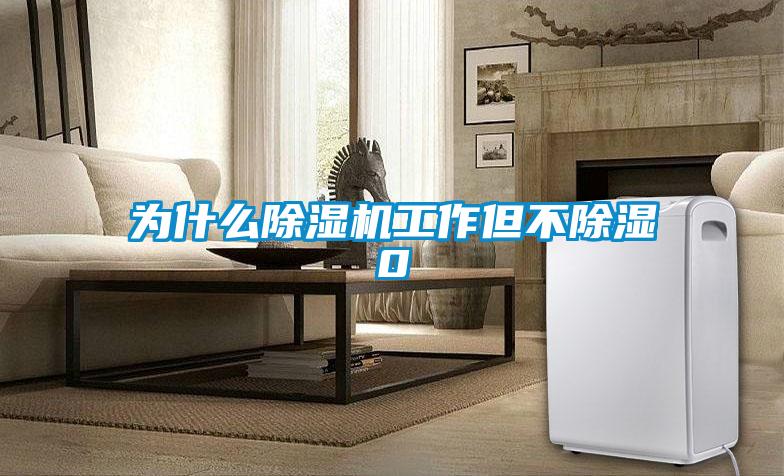 为什么除湿机工作但不除湿0