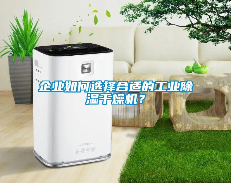 企业如何选择合适的工业除湿干燥机？