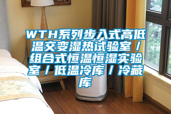 WTH系列步入式高低温交变湿热试验室／组合式恒温恒湿实验室／低温冷库／冷藏库