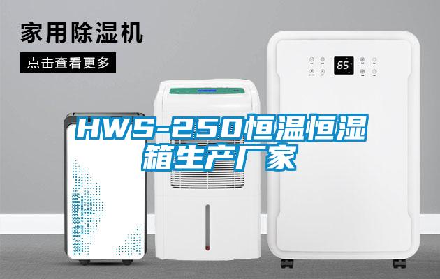HWS-250恒温恒湿箱生产厂家