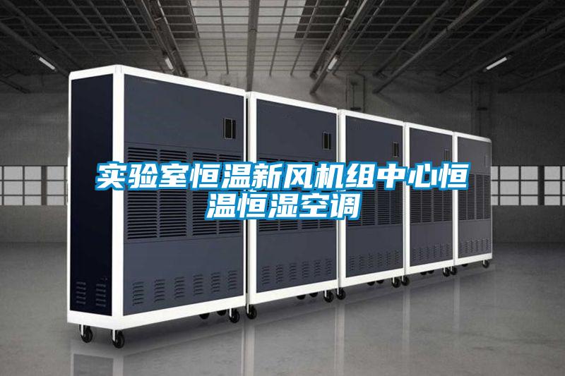 实验室恒温新风机组中心恒温恒湿空调