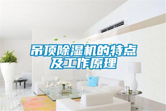 吊顶除湿机的特点及工作原理