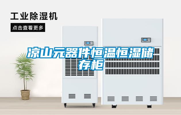 凉山元器件恒温恒湿储存柜