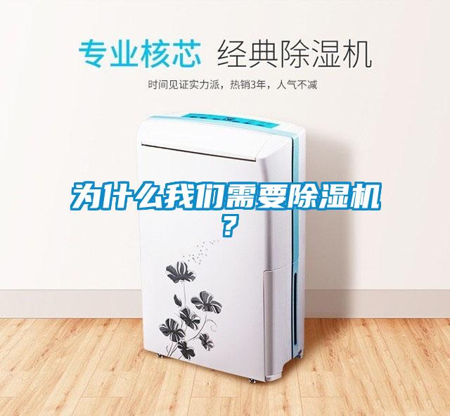 为什么我们需要除湿机？