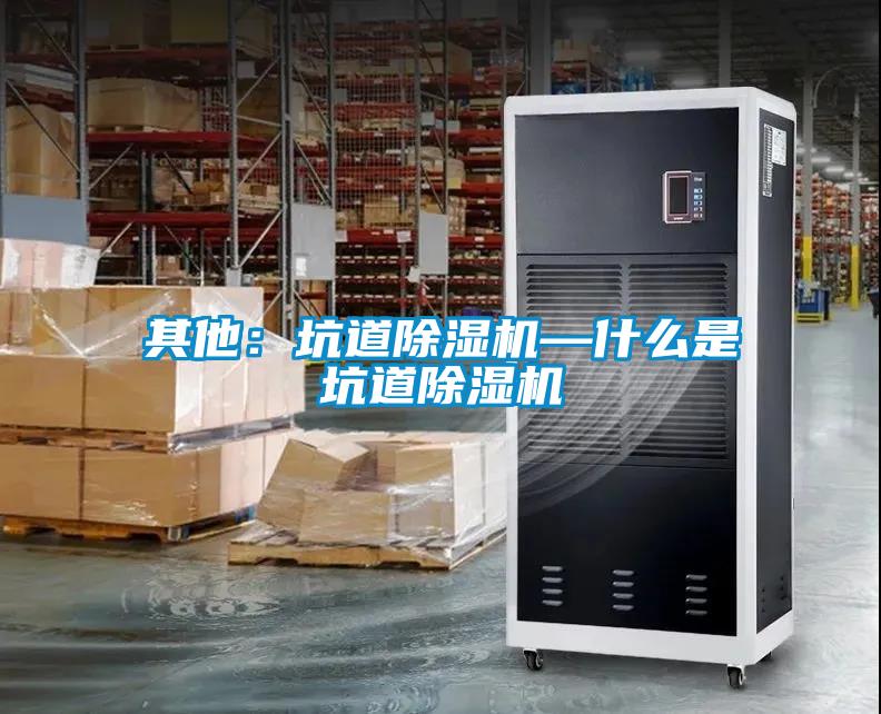 其他：坑道除湿机—什么是坑道除湿机