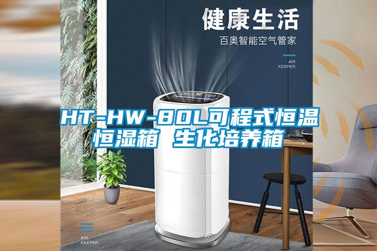 HT-HW-80L可程式恒温恒湿箱 生化培养箱