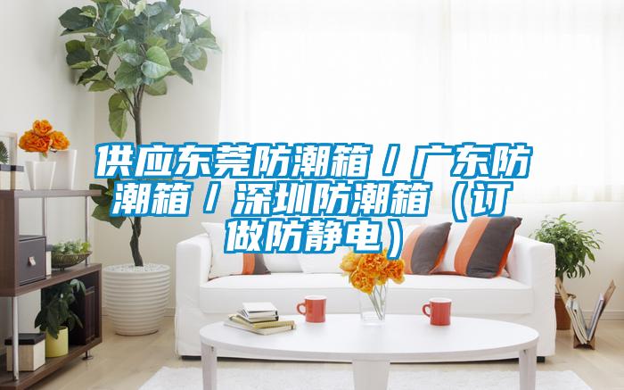 供应东莞防潮箱／广东防潮箱／深圳防潮箱（订做防静电）