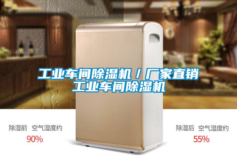 工业车间除湿机／厂家直销工业车间除湿机