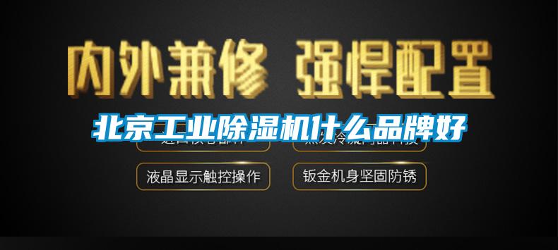 北京工业除湿机什么品牌好