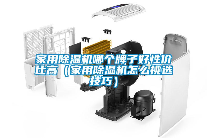 家用除湿机哪个牌子好性价比高（家用除湿机怎么挑选技巧）